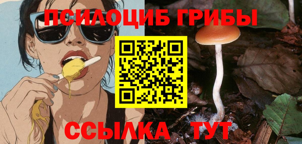 Псилоцибиновые грибы Magic Shrooms  Вход с VPN  Малоярославец 